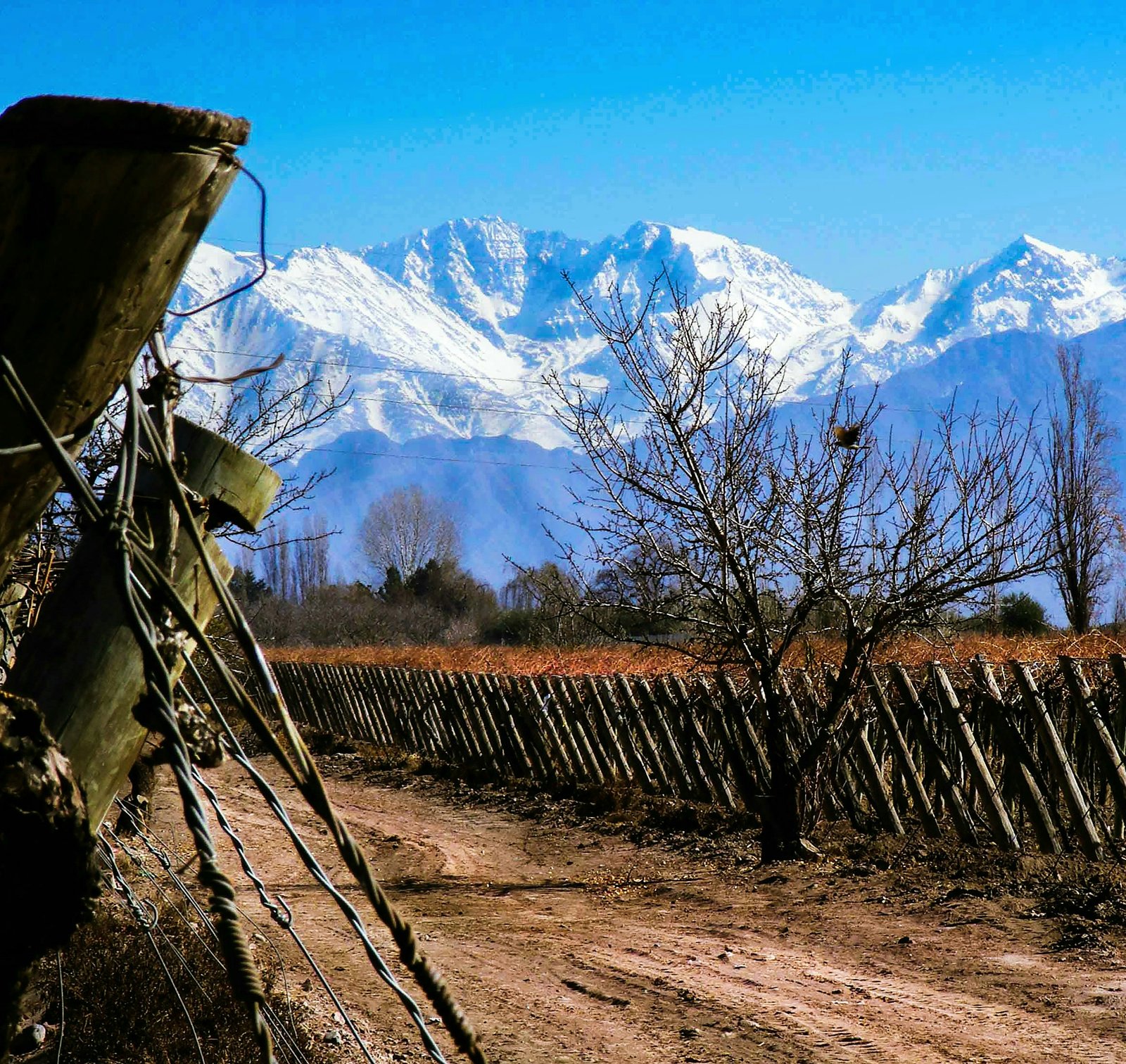 Mendoza en 3 días: El itinerario perfecto para conocer lo esencial